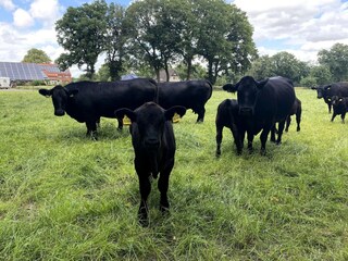 Appartement Firrel Omgeving 34