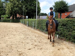 Apartamento Firrel Entorno 35