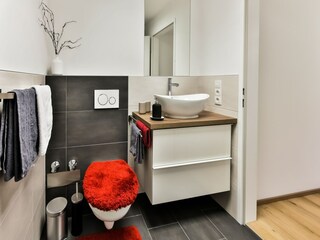 Apartamento Reith bei Seefeld Características 17