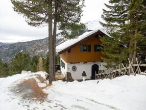 Holiday house Chalet direkt im Skigebiet Turracher Höhe - Murau - image1