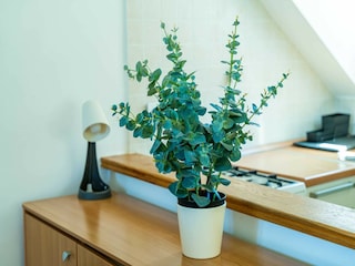 Apartment Dubrovnik  32