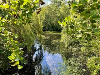 Vakantiehuis Marielyst  15