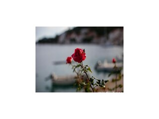 Appartement Pasadur  9