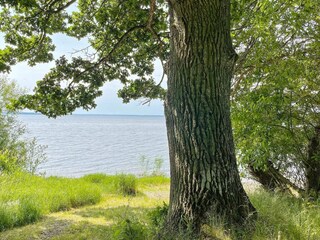 Holiday house Linköping  32