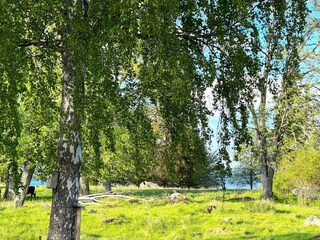 Ferienhaus Gardsjö  40