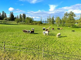 Vakantiehuis Gardsjö  32