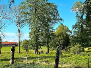 Ferienhaus Gardsjö  38