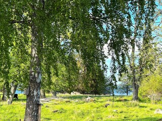 Ferienhaus Gardsjö  39