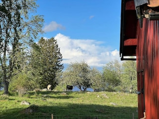 Ferienhaus Gardsjö  24