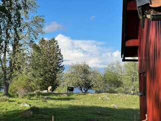 Vakantiehuis Gardsjö  36