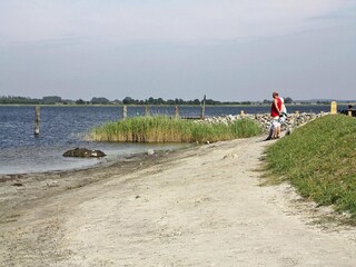 Vakantiehuis Vieregge Omgeving 13