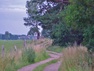 Ferienhaus Neverow Umgebung 11