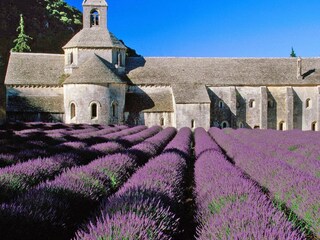Villa Saint-Michel Environnement 35