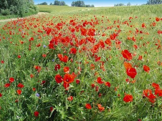 Casa de vacaciones Alt Schwerin Grabación al aire libre 5