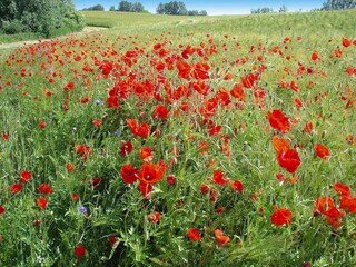 Casa per le vacanze Alt Schwerin Registrazione all'aperto 3