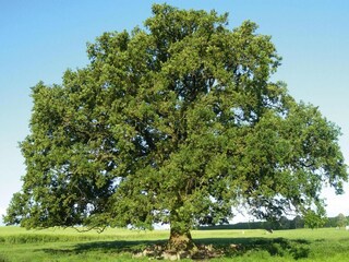 Casa per le vacanze Alt Schwerin Ambiente 17