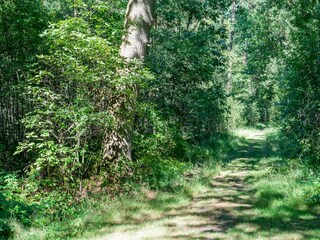 Vakantiehuis Lochem Omgeving 34