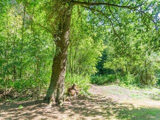 Maison de vacances Lochem Environnement 34