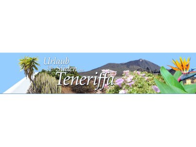 Company BOJOST S.L -  Team Bojost S.L.