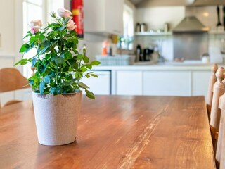 Boerderij Giethoorn  29