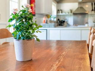 Fattoria Giethoorn  31