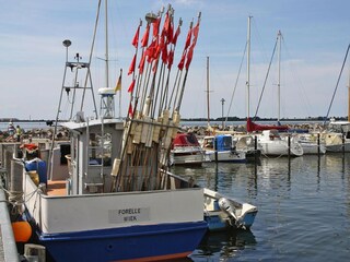 Appartamento Wiek Ambiente 25