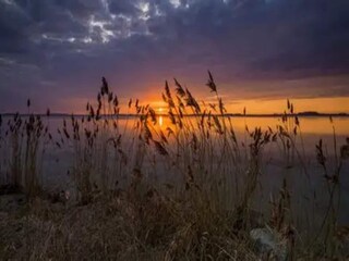 Appartamento Wiek Ambiente 41