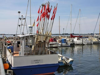 Apartment Wiek Umgebung 39