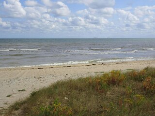 Holiday house Saint-Marcouf Environment 22