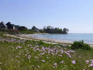 Maison de vacances Saint-Marcouf Environnement 23
