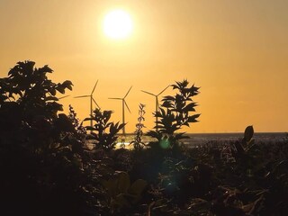 Ferienhaus Bønnerup Strand  27