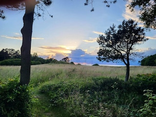 Ferienhaus Bønnerup Strand  32
