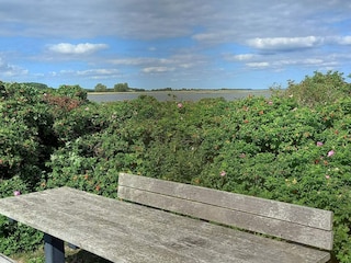 Ferienhaus Årøsund  38