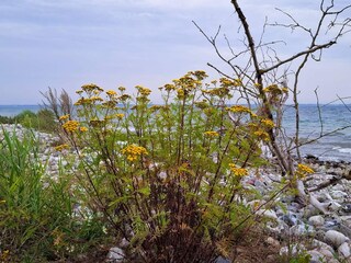 Vakantiehuis Årøsund  18