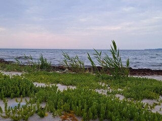 Casa per le vacanze Årøsund  12