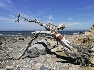 Casa per le vacanze Dranske  30