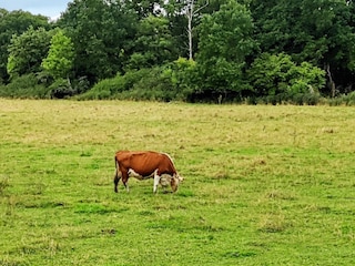 Holiday house Väsby  27