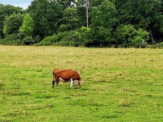 Vakantiehuis Väsby  27