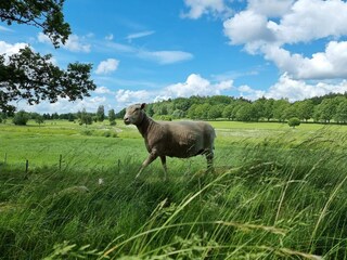 Vakantiehuis Väsby  14