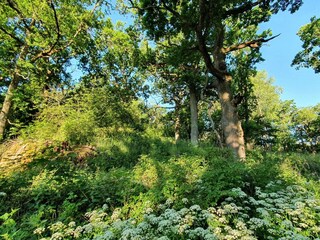 Vakantiehuis Väsby  19