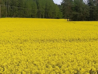 Holiday house Väsby  10