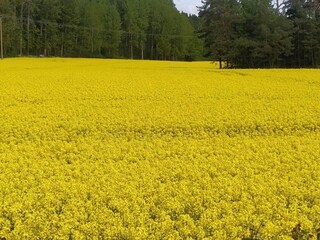 Vakantiehuis Väsby  10