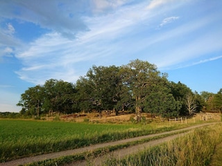 Holiday house Väsby  15