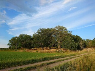 Vakantiehuis Väsby  15