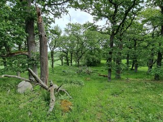 Ferienhaus Väsby  20
