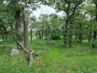 Holiday house Väsby  20