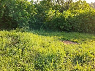 Vakantiehuis Väsby  21