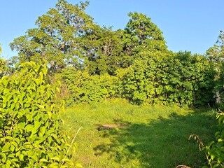 Vakantiehuis Väsby  19