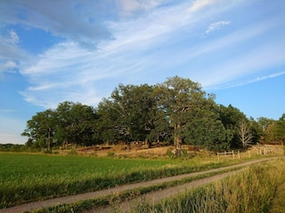 Vakantiehuis Väsby  21