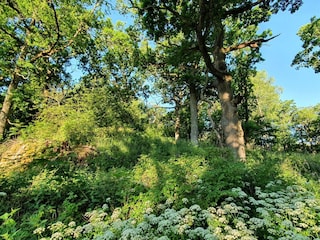 Vakantiehuis Väsby  30